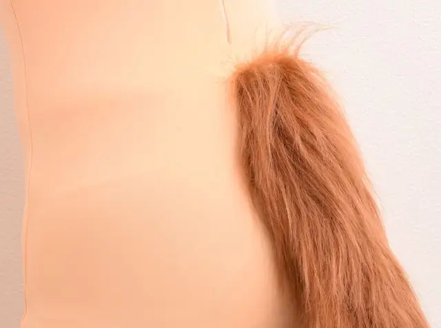 尾巴
